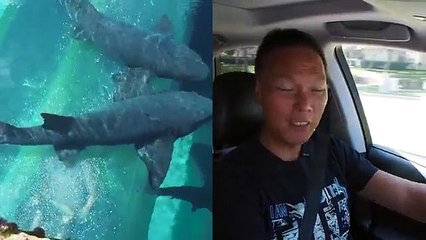 Driving with John Chow - Episode 45 My First Business Venture