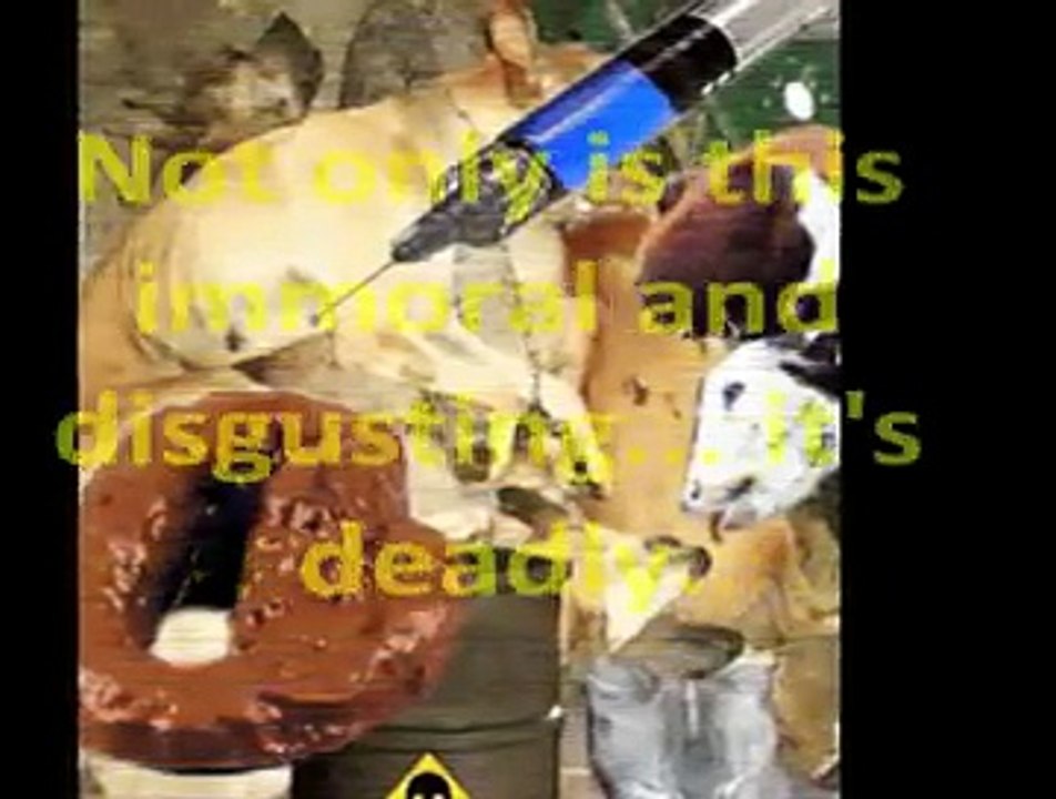 Dog Food Secrets Review