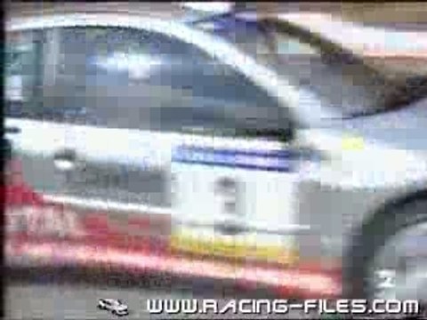 Gilles & Hervé Panizzi Peugeot 206 WRC