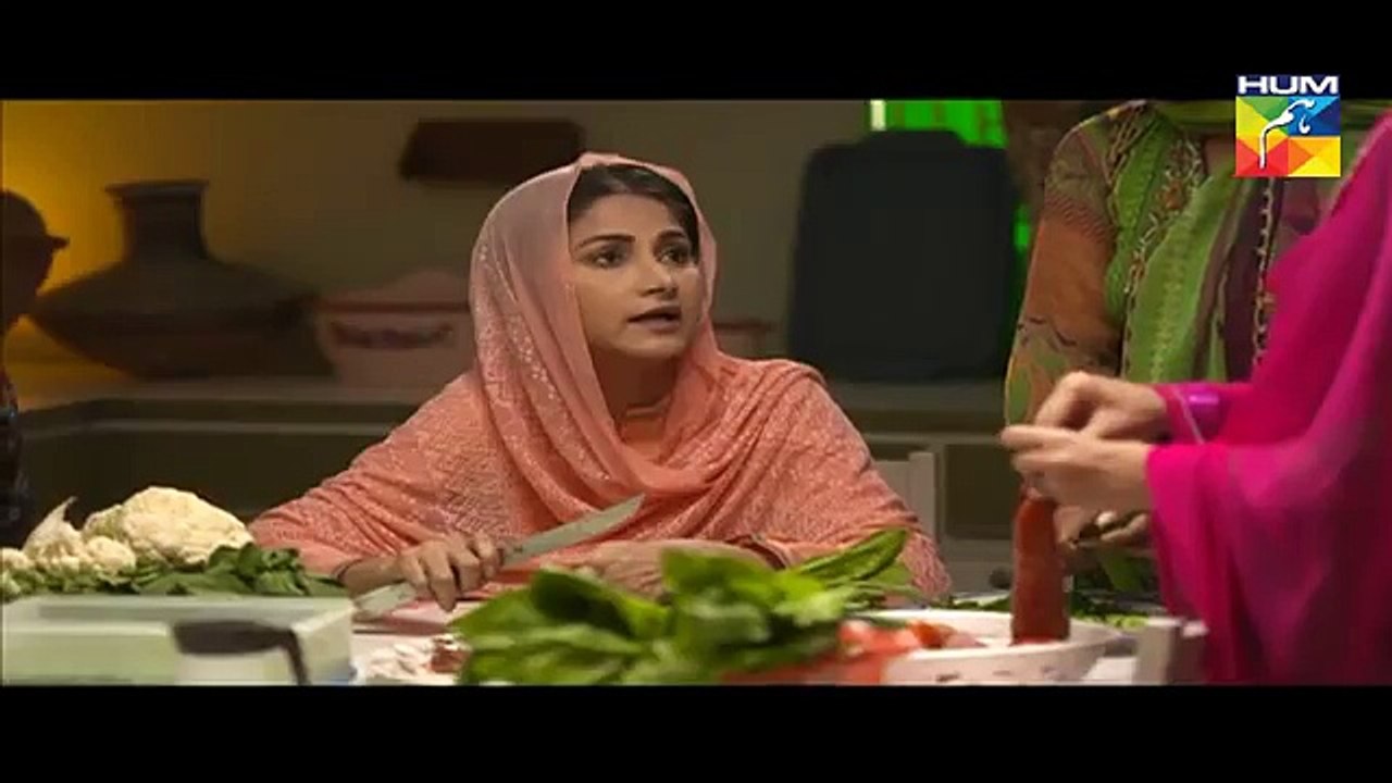 Mann Mayal Hum tv Drama - Episode 1 - Part 3 - 25th January 2016