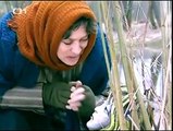 Tajemství mořské panny (TV film) Pohádka /Česko, 1998, 43 min
