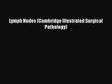 PDF Download Lymph Nodes (Cambridge Illustrated Surgical Pathology) PDF Online