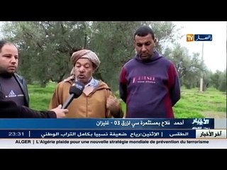 مشروع معبر السكة الحديدية يهدد أزيد من 250 شجرة زيتون