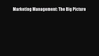 (PDF Download) Marketing Management: The Big Picture Read Online