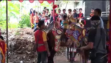 KUDA JANTAN ATAU BETINA