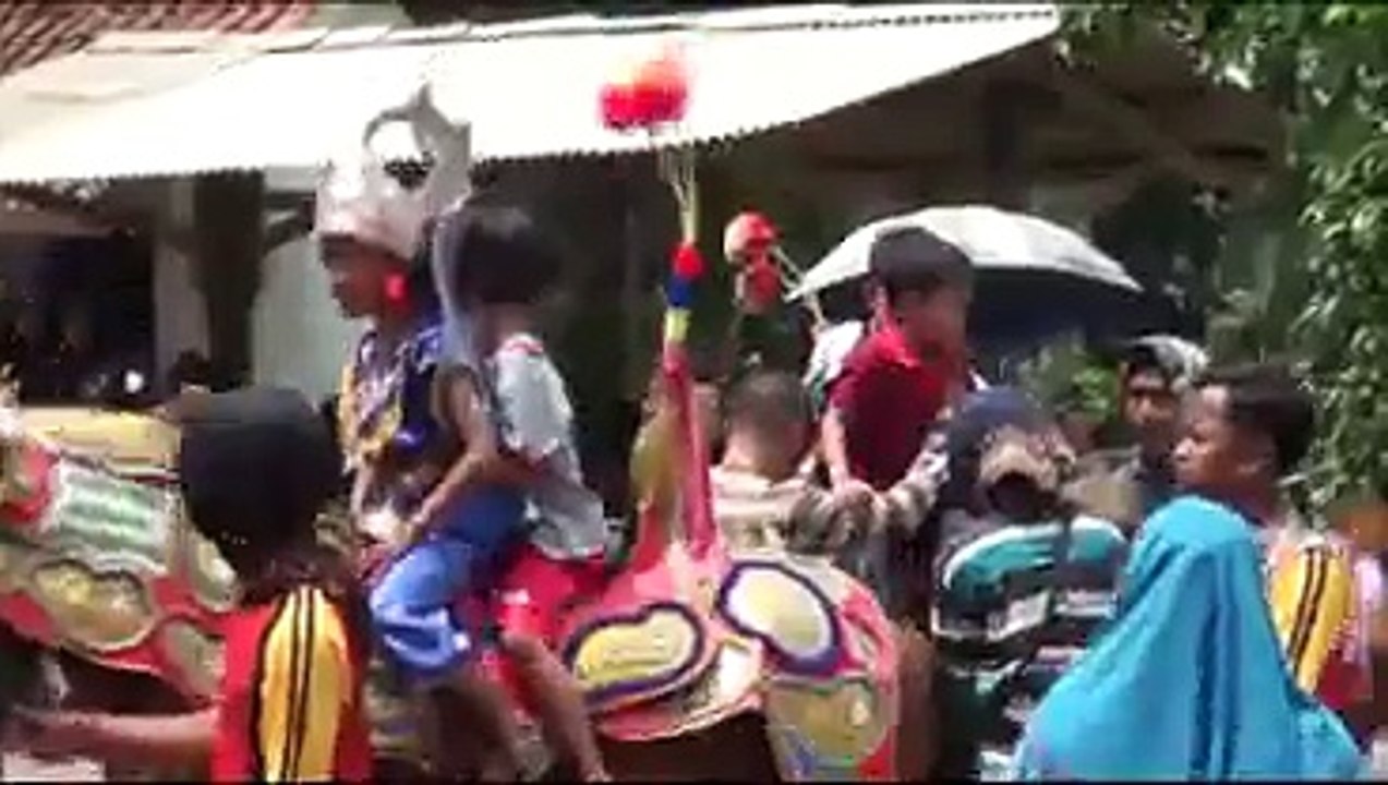 KUDA LUCU