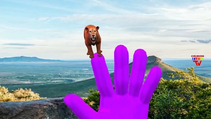 Lion Vs Elephant Cartoons For Children Finger Family Nursery Rhymes For Kids, Babies