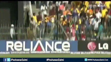 Pashto New Song 2016 Rashid Khan By Peshawar Zalmi