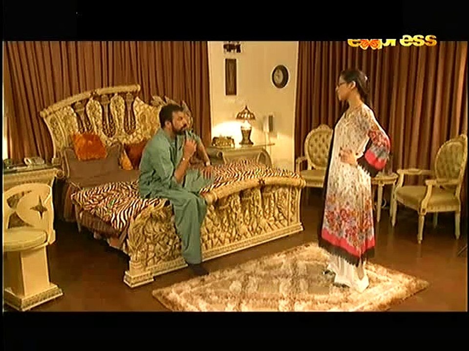 Hum Bewafa Hargiz Na Thay Telefilm