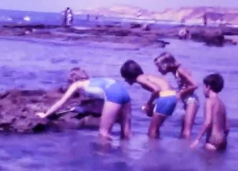 1978: Sinai trek; general Israel touring, visiting Paltis (& Zohars?); Switzerland w/ Hans & family