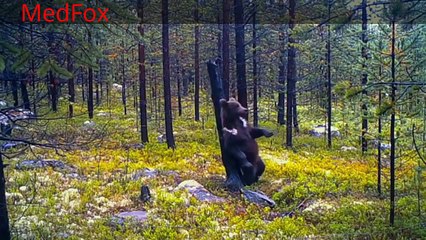 best videos _ Viral videos, funny and unusual # 1 [ Compilation ]