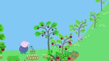 Peppa Pig: Frogs and Worms and Butterflies