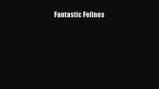 [PDF Download] Fantastic Felines [PDF] Online