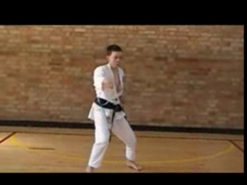 Heian godan shotokan kata