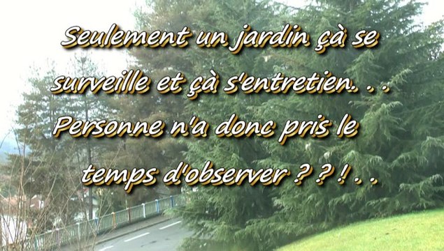 LES W-D.D. MICHOU NEWS - 24 JANVIER 2016 - PAU - ATTAQUES DE CHENILLES AUTOUR DU STADE NAUTIQUE.