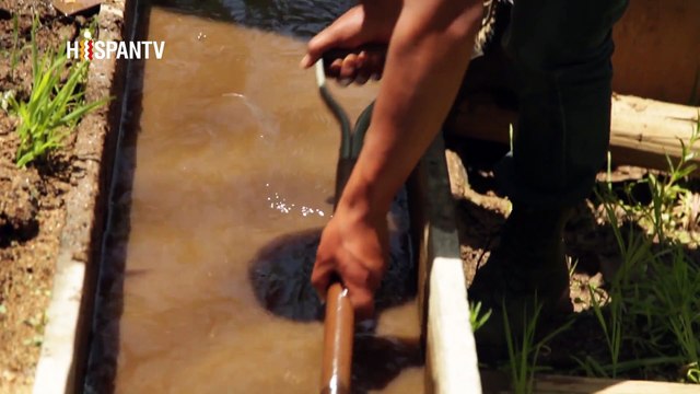 Esta es mi tierra - Chile: ¿Los mapuches son terroristas?