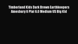[PDF Download] Timberland Kids Dark Brown Earthkeepers Amesbury 6 Plai 6.0 Medium US Big Kid