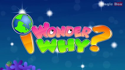 Why Do Moon And Planets Not Twinkle Like A Star - I Wonder Why - Amazing Fun Facts Video For Kids