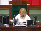 Poseł Małgorzata Pępek - Wystąpienie z dnia 29 grudnia 2015 roku.