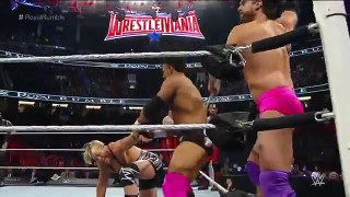 Fatal 4-Way Royal Rumble Qualifying Tag Team Match- Royal Rumble 2016 Kickoff