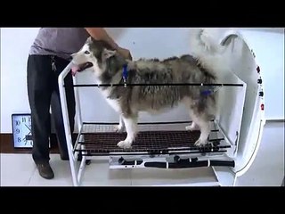 360 Rotational Dryers