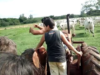 Ataque das VACAS