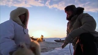 Wild Alaska National GeographicWildlife full documentaryHD