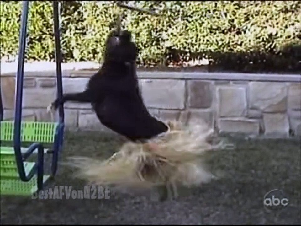 ☺ AFV Part 157 (NEW!) America's Funniest Home Videos 2012 (Funny Clips Fail Montage Compilation)