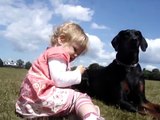 Doberman protects baby toddler at the park. MUST SEE! -