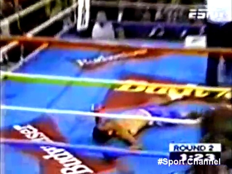 Floyd Mayweathe knockout collection 2015