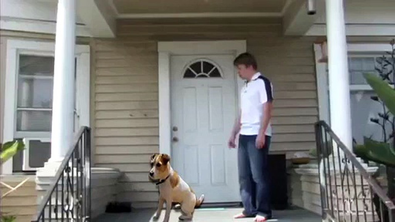 skate fight - street fight knockout