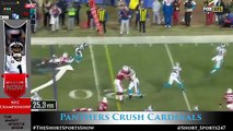 NFC Championship Highlights - Arizona Cardinals vs Carolina Panthers