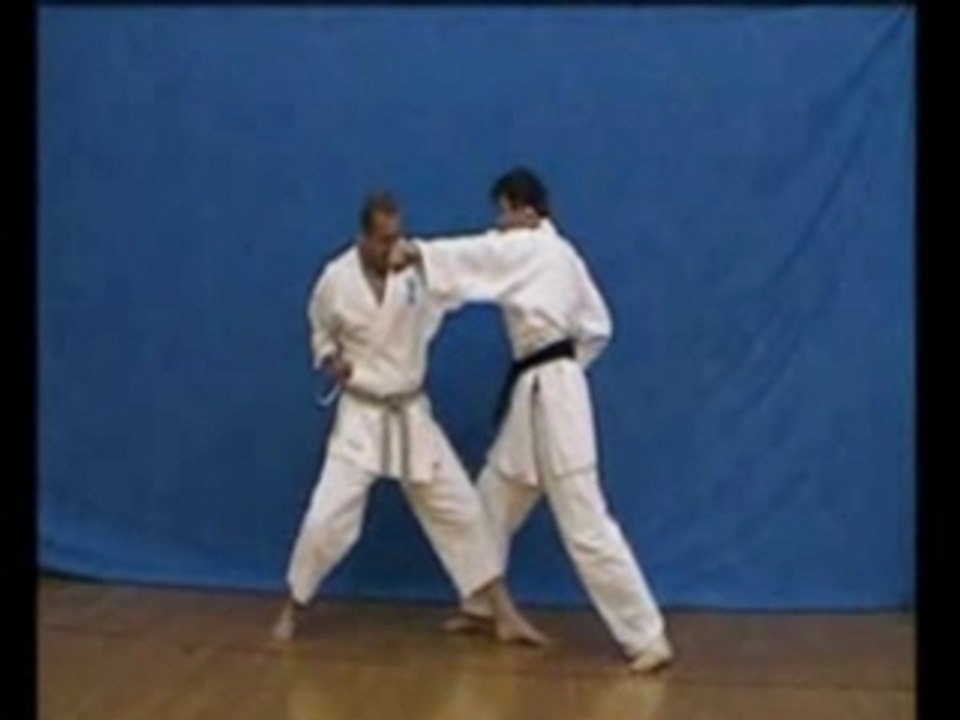 Heian nidan shotokan kata applications