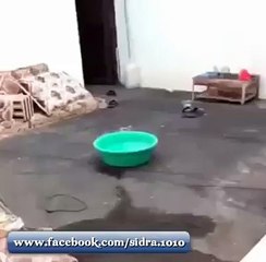 Very Funny Arabic Man Trying to Swim in a Little Water Tub (Funny Video)