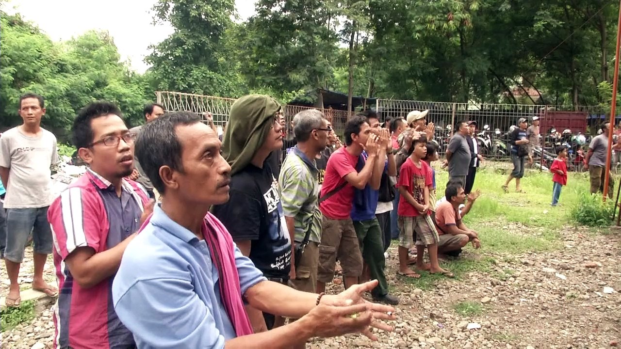 Indonésie: des concours de chants d'oiseaux men...