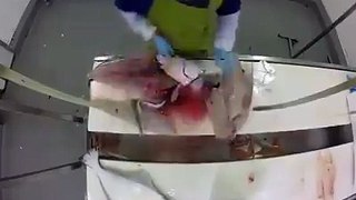 A skillful worker slashing fish! he has done a very good job!