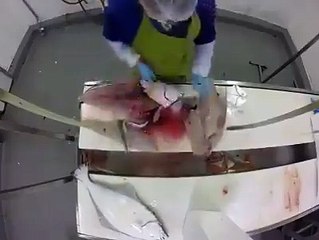 A skillful worker slashing fish! he has done a very good job!