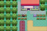 Pokemon Emerald Walkthrough Part #05: Get In My Way?