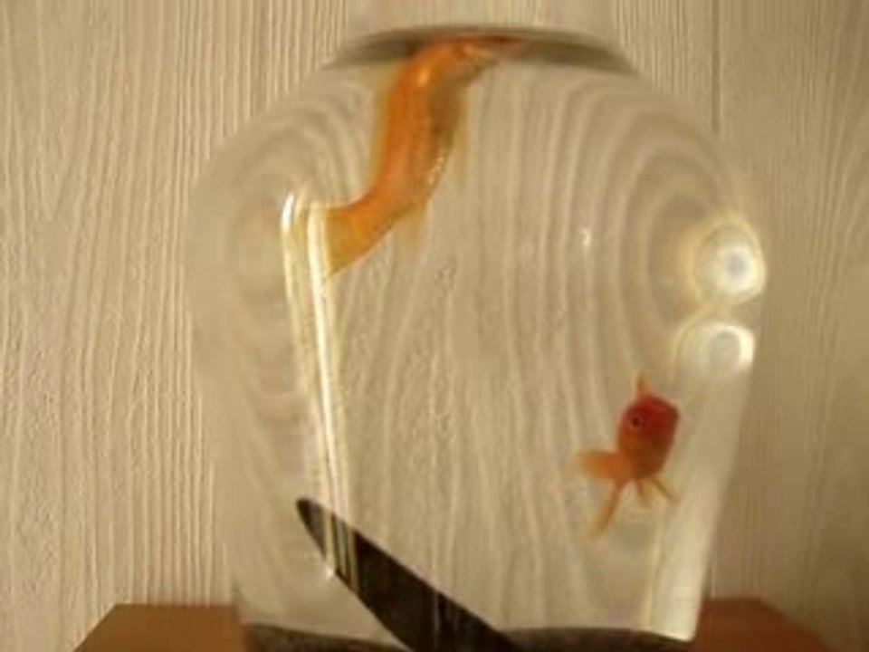 Poissons