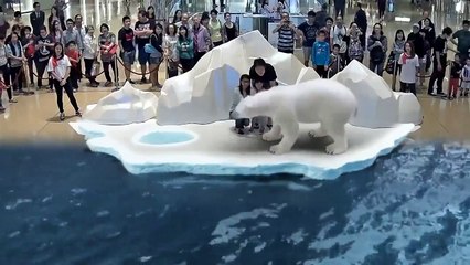 НЕВЕРОЯТНЫЕ ТЕХНОЛОГИИ 7D