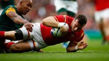 Gareth Davies | Welsh Dragon on fire