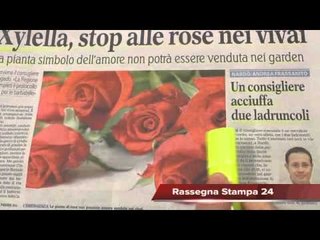 Napoli e Juve guidano il campionato, Rassegna Stampa 25 Gennaio 2016