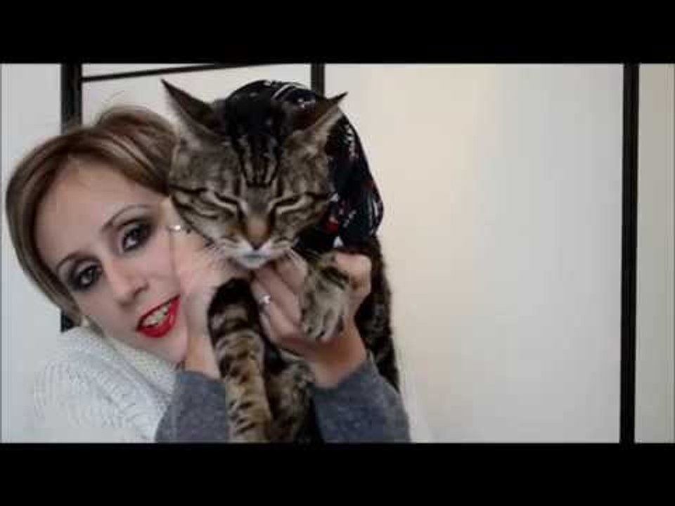 I consigli di Cesare "il gatto" #1