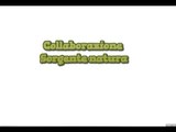 Collaborazione Sorgente natura