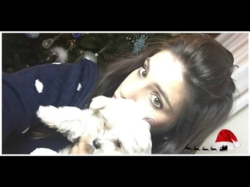 Buone FESTE e... vi presento Ellie | Stefy ❤