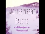 TAG: THE PERFECT PALETTE ♥   || In Collaborazione con FrancyMakeUp3