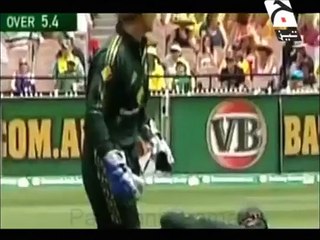 Cricket World Cup 2015 Tezabi Totay Geo Tez - Video Dailymotion