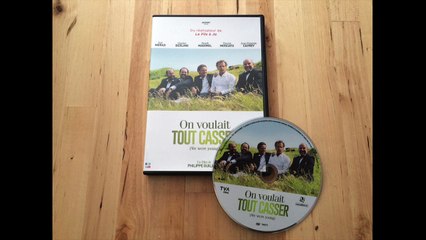 Critique DVD On voulait tout casser