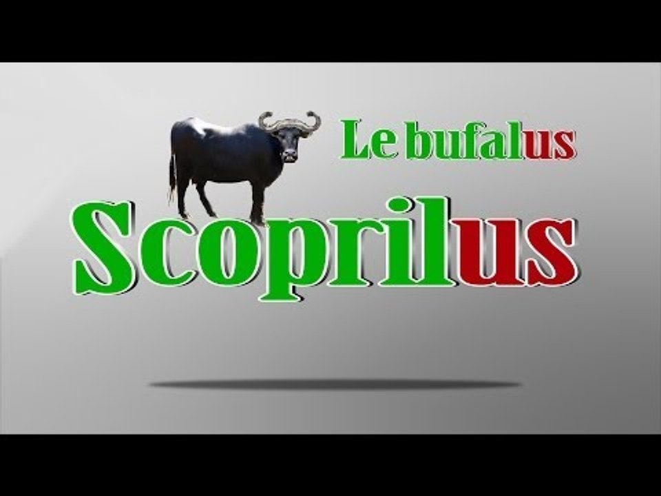 Scoprilus - Il kit antibufala