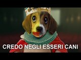 Credo negli esseri cani (Parodia Mengoni)